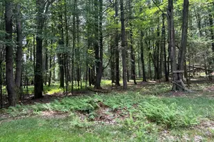 4685 Gravel Lick Rd, Leeper, PA 16233 - Photo 19