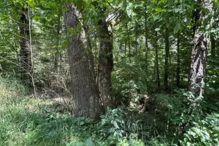 00 Drake Well Rd, Titusville, PA 16354 - Photo 1