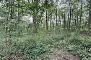 2148 Cranberry Rockland Rd, Kennerdell, PA 16374 - Photo 35