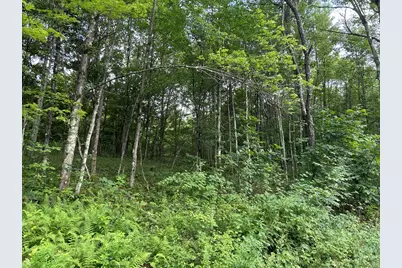 ... Kelly Rd and Holly Hill Road, Rimersburg, PA 16248 - Photo 5