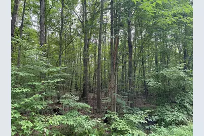 ... Kelly Rd and Holly Hill Road, Rimersburg, PA 16248 - Photo 3