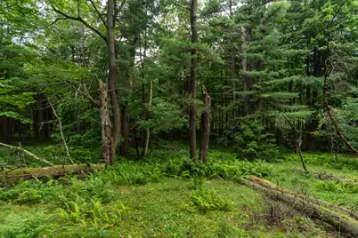 817 Shriver Road, Tionesta, PA 16353 - Photo 9