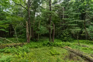 817 Shriver Rd, Tionesta, PA 16353 - Photo 9