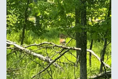 6B Turkey Hollow Road, Rostraver, PA 15860 - Photo 7