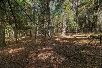1403 River Road, Cooksburg, PA 16217 - Photo 45