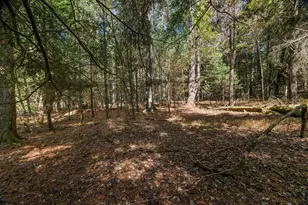 1403 River Rd, Cooksburg, PA 16217 - Photo 45