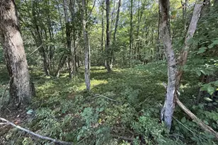 828 Dennison Run Rd, Polk, PA 16342 - Photo 15