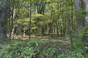 828 Dennison Run Rd, Polk, PA 16342 - Photo 23