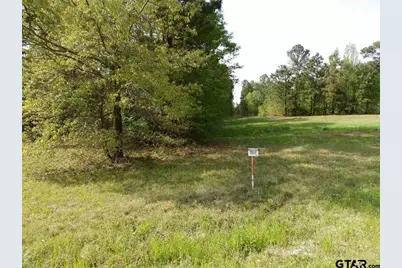 19522 Hwy 155, Flint, TX 75762 - Photo 13