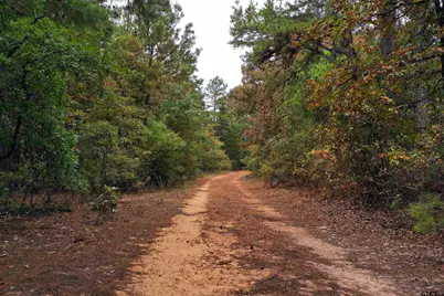 15160 County Road 1227, Flint, TX 75762 - Photo 3