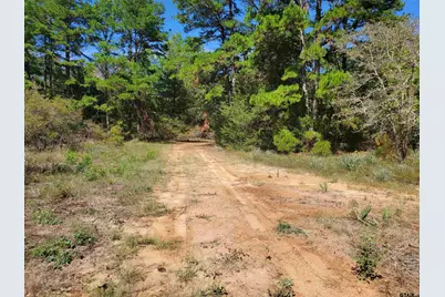 15160 County Road 1227, Flint, TX 75762 - Photo 19