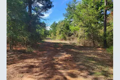 15160 County Road 1227, Flint, TX 75762 - Photo 29