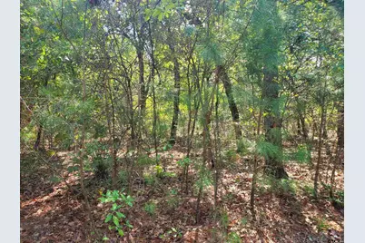 15160 County Road 1227, Flint, TX 75762 - Photo 31