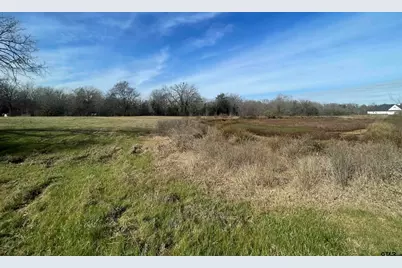 Tbd Cr 2320, Pittsburg, TX 75686 - Photo 7