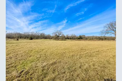 Tbd Cr 2320, Pittsburg, TX 75686 - Photo 5