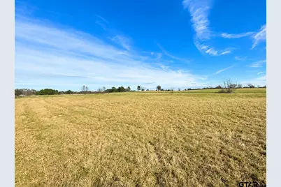 Tbd Cr 2320, Pittsburg, TX 75686 - Photo 3