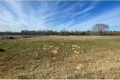 Tbd Cr 2320, Pittsburg, TX 75686 - Photo 3
