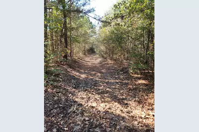 Tbd Fm 3001, Marshall, TX 75670 - Photo 17