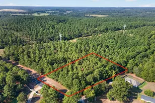 14466 County Rd 393, Tyler, TX 75708 - Photo 1