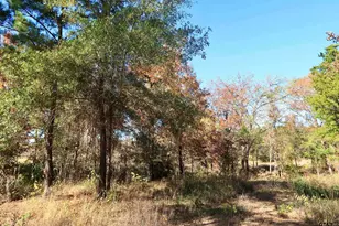 16619 Ridgeline Loop, Winona, TX 75792 - Photo 1