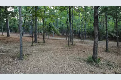 Lot 20-D Eastside Rd, Tyler, TX 75707 - Photo 35