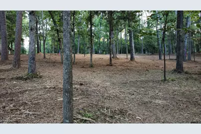 Lot 20-D Eastside Rd, Tyler, TX 75707 - Photo 37