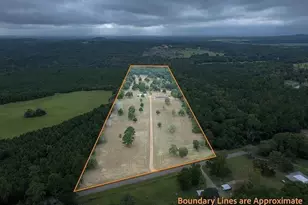 1000 Co Rd 3211, Jacksonville, TX 75766 - Photo 27