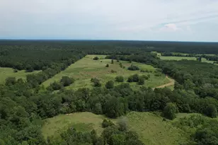 120 Fsr 513, Kennard, TX 75847 - Photo 3
