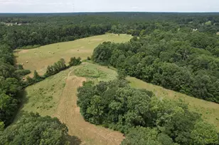120 Fsr 513, Kennard, TX 75847 - Photo 41
