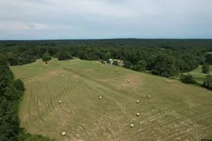 120 Fsr 513, Kennard, TX 75847 - Photo 5