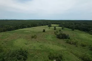 120 Fsr 513, Kennard, TX 75847 - Photo 45