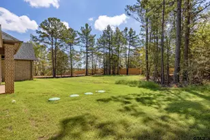 14224 Woodland Pkwy, Flint, TX 75762 - Photo 43