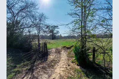 0 An County Road 153, Palestine, TX 75801 - Photo 3
