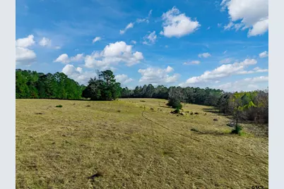 0 An County Road 153, Palestine, TX 75801 - Photo 5