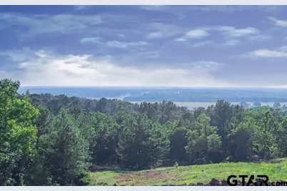 891 Private Road 8454, Montalba, TX 75853 - Photo 23