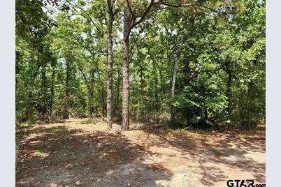 117 Little Acorn, Holly Lake Ranch, TX 75765 - Photo 13