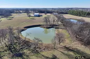 365 Co Rd 1534, Alba, TX 75410 - Photo 9