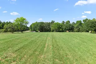 1081 Co Rd 3875, Mineola, TX 75773 - Photo 3