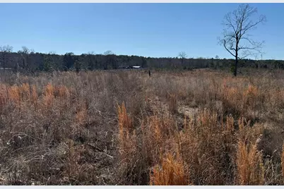 Tbd Cr 1110 - Tract 4, Rusk, TX 75785 - Photo 15