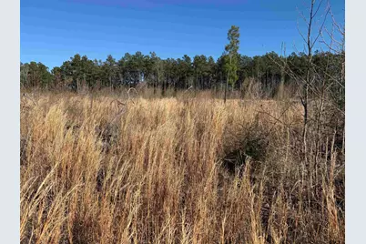 Tbd Cr 1110 - Tract 4, Rusk, TX 75785 - Photo 3