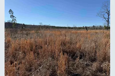 Tbd Cr 1110 - Tract 4, Rusk, TX 75785 - Photo 17