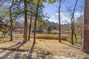 20616 E Grove Club Lake Rd, Whitehouse, TX 75791 - Photo 41