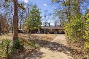 20616 E Grove Club Lake Rd, Whitehouse, TX 75791 - Photo 43
