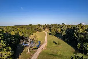 7991 FM314, Ben Wheeler, TX 75754 - Photo 33