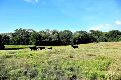 20688 County Road 178, Flint, TX 75762 - Photo 35