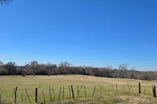 20688 County Rd 178, Flint, TX 75762 - Photo 1