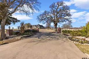 20 Acres County Road 4708, Sulphur Springs, TX 75482 - Photo 3