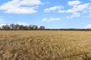 20 Acres County Road 4708, Sulphur Springs, TX 75482 - Photo 35