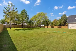 149 Kingston Xing, Bullard, TX 75757 - Photo 43