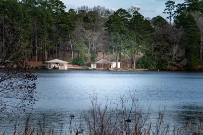 115 Raton Pass, Holly Lake Ranch, TX 75765 - Photo 43